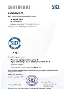 PPR_page-0004